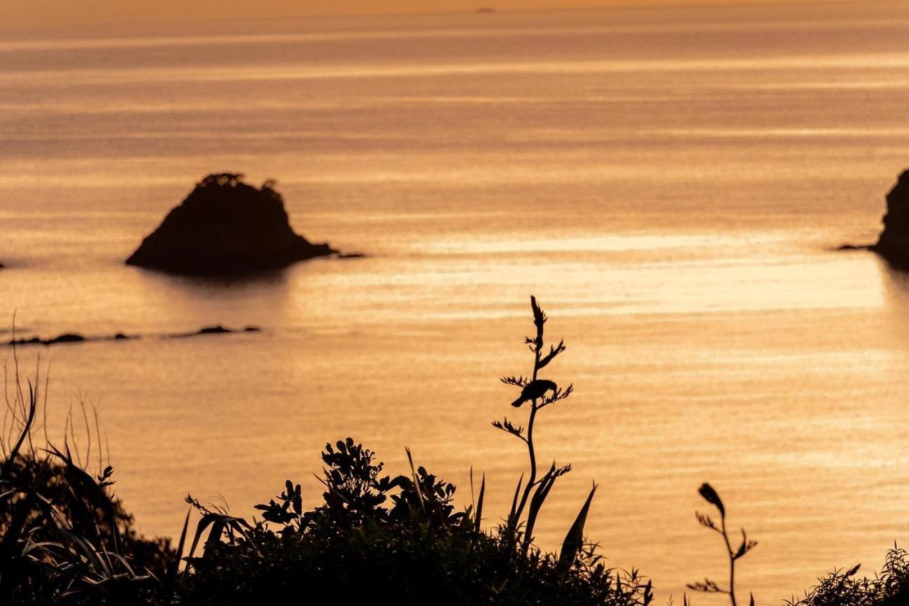 ハヘイCathedral Cove And Sunriseアパートメント エクステリア 写真